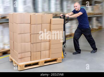 Warehouseman in storehouse fast-moving pallet with stacker. Worker in warehouse moves pallet in rack system. Caucasian labourer working with small for Stock Photo