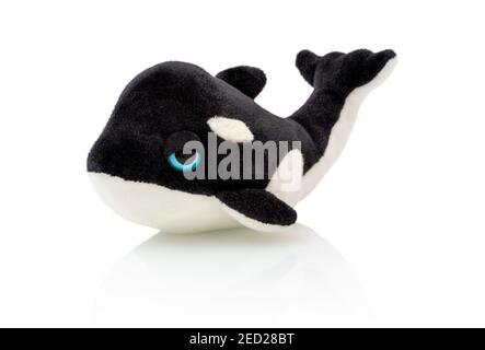 Killer whale plushie doll isolated on white background with shadow reflection. Plush stuffed orca  on white backdrop. Fluffy puppet toy for children. Stock Photo