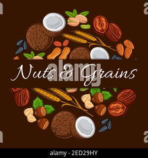 Nuts and grains in round shape emblem. Nutritious coconut, almond, pistachio, cashew, hazelnut, walnut, bean pod, peanut, sunflower, pumpkin seeds. Ve Stock Vector