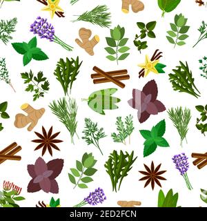 Fresh kitchen herb and spice seamless pattern with parsley, basil, mint, vanilla, cinnamon, ginger, thyme and dill, rosemary and anise star, bay leaf, Stock Vector