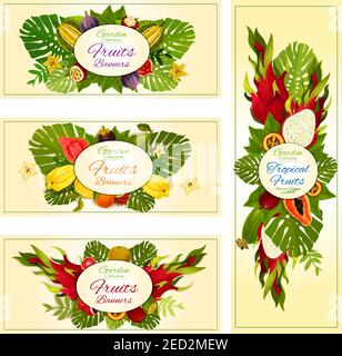 Tropical fruit banners with orange, exotic dragon fruit, feijoa, papaya, carambola and durian, passion fruit, guava, fig, lychee and mangosteen, tamar Stock Vector