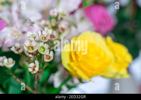 floral color mix background with selective focus. Stock Photo