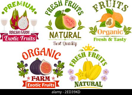 Fruits icons and signs set. Fresh juicy natural organic fruits guava, dragon fruit, lychee, figs, carambola Stock Vector