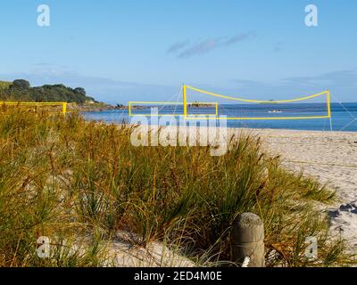 Yellow beach volleyball nets erected for use with no players yet on Mount Maunganui Main beach with beach grass in foreground. Stock Photo