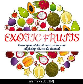 Exotic fruits poster of vector tropical whole and half cut sliced juicy fruits orange, papaya, durian, guava, carambola, dragon fruit, lychee, feijoa, Stock Vector