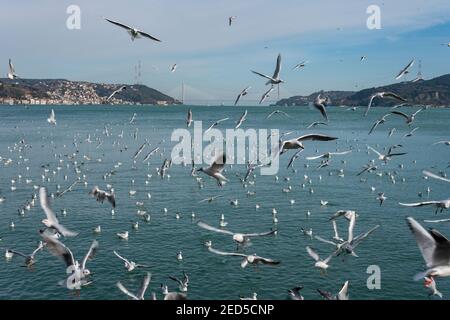 The Bosphorus Strait, Istanbul, Turkey Stock Photo