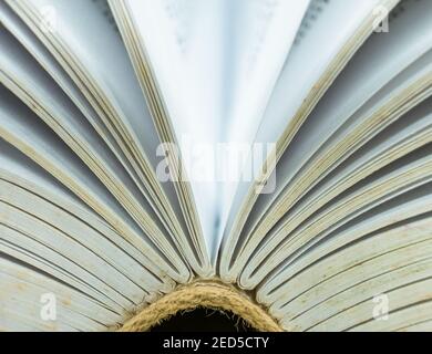 Macro picture with an old open book Stock Photo