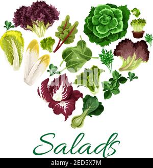 Vegetable greens heart symbol made up of fresh salad leaves of lettuce, spinach, chinese cabbage, cress salad, iceberg, corn salad, bok choy, radicchi Stock Vector