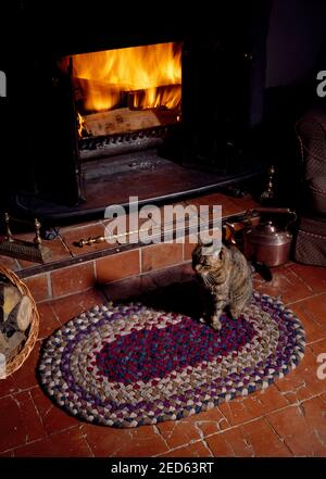 Cat sitting on rag rug in front of open fire Stock Photo