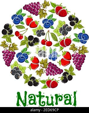 Natural fruits and berries round symbol with fresh cherry, grape, strawberry, blackberry, raspberry, blueberry and blackcurrant fruits. Food and juice Stock Vector