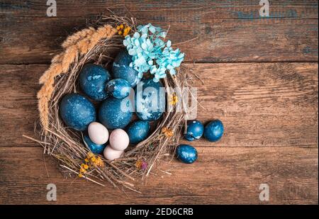 Easter background with quail and chicken blue eggs on wooden background. Stock Photo