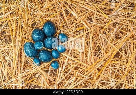 Marble-blue eggs of different sizes are concentrated in a group on the straw. Stock Photo