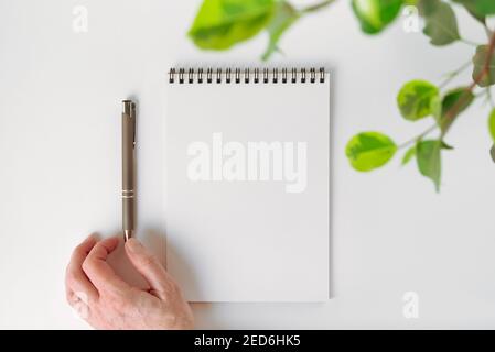 Spiral notebook, leaves of a houseplant and an automatic pen that a female hand corrects. Stock Photo