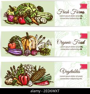 Fresh vegetables banner set. Organic farm veggies label with tomato, carrot and pepper, onion and chilli, broccoli and eggplant, potato and garlic, be Stock Vector
