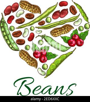 Nuts, beans and grains in shape of heart. Poster with nuts, coffee beans, peanuts in shell, beans, green peas, legume pods. Symbol design with plants Stock Vector
