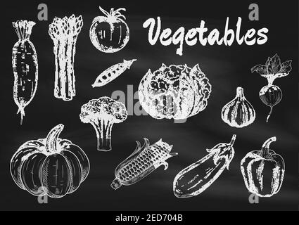 Vector chalk sketched vegetables on blackboard. Isolated icons of pumpkin, asparagus and daikon radish, broccoli, tomato and pea, cabbage and corn, eg Stock Vector