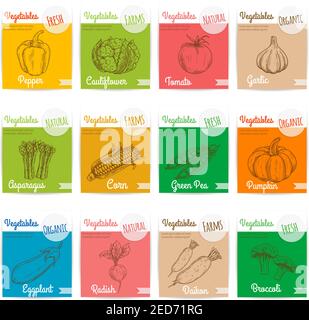 Vegetables vector sketch icons with names text. Card stickers with pepper, cauliflower, tomato and garlic, asparagus, corn, green pea and pumpkin, egg Stock Vector