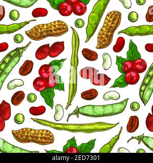Beans and nuts pattern. Fresh and roasted coffee beans, nutritious dried peanuts in shell, legume beans, green peas pods. Vector seamless background o Stock Vector