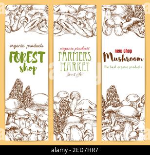 Mushrooms banners set. Vector sketch of edible mushrooms champignon, forest cep, morel, chanterelle, russule, milk mushroom honey agaric, Vegetaian or Stock Vector