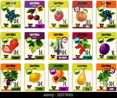 Fruits tags or cards with price. Vector set of fresh harvest of organic fruits blueberry, cherry and raspberry, apple, blackberry and strawberry, goos Stock Vector