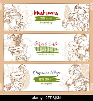 Mushrooms banners set of vector sketch edible mushroom champignon and gourmet morel and truffle, chanterelle, russule and milk mushroom or honey agari Stock Vector