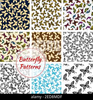 Butterflies pattern. Vector butterfly and moth insects. Exotic swallowtail with flittering wings, tropical monarch butterfly and hawk-moth, flying mac Stock Vector