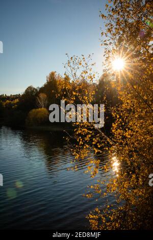Outdoor photo of the autumn tree by the lake. Sun shining through branches Stock Photo