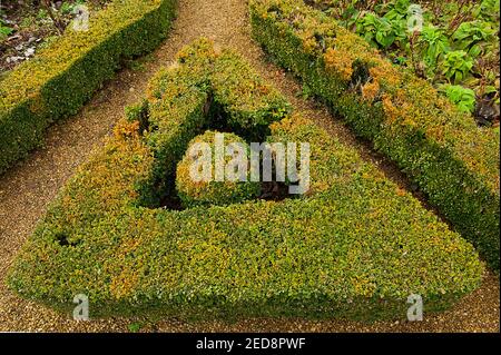 triangle plant hedge landscape garden pattern geometry math shape ...
