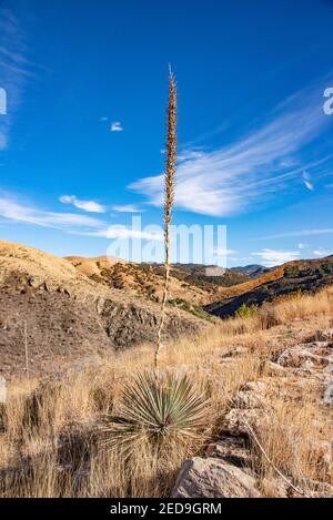 View over Guanajuato City, Guanajuato State, Mexico Stock Photo