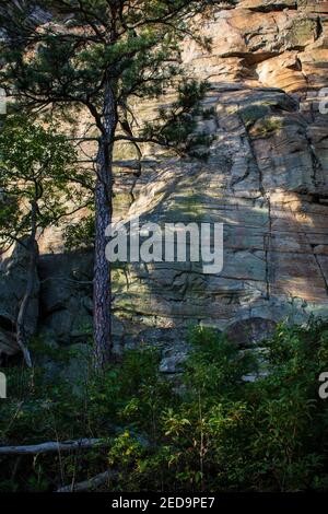 Closeup view of Big Pinnacle, Pilot Mountain State Park, North Carolina Stock Photo