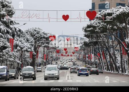 Tirana. 14th Feb, 2021. Photo taken on Feb. 14, 2021 shows snow-covered trees in Tirana, Albania. Credit: Gent Onuzi/Xinhua/Alamy Live News Stock Photo