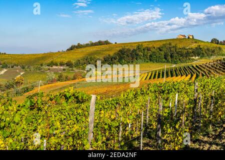 Among the vineyards on the hills of Langhe area near Barolo, Piedmont region, Italy, Stock Photo