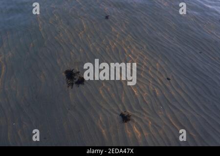 Underwater sand patterns shining in sunlight in clear water at Amager Beach, Copenhagen. Stock Photo