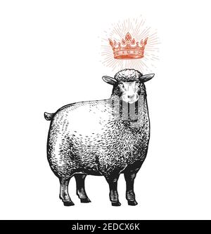 Vector Stylized Illustration of the Sheep with the crown over the head and surprised fasial expression. Vector illustration of the Queen Sheep in Stock Vector