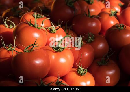 Delicious red tomatoes close-up at summer farmers market. Stock Photo