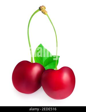 Cherry isolated on white background.  Cherries with leaves and stems close up Stock Photo