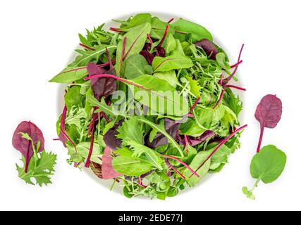 Salad leaves in a bowl isolated on white background. Mix fresh leaves of arugula, lettuce and  spinach leaf. Top view Stock Photo