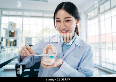 Portrait of beautiful young Asian female dentist demonstrating right way to brush teeth holding mouth model and toothbrush while recording video blog for online teaching Stock Photo