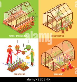 Four square isometric greenhouse design concept set with warm greenhouse gardeners and greenery descriptions vector illustration Stock Vector