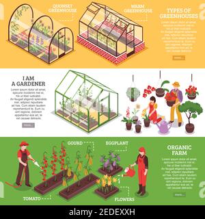 Three horizontal greenhouse banner set with I am gardener organic farm and types of greenhouses descriptions vector illustration Stock Vector
