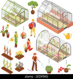 Colored and isolated isometric 3d greenhouse icon set with seedling and care of plants vector illustration Stock Vector