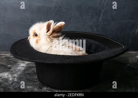 Magician hat with cute rabbit on dark background Stock Photo