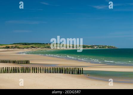 Mussel poles on the beach of Wissant on the Opal Coast in France Stock Photo