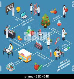 Genetically modified organism isometric flowchart from idea to result through research engineering and testing researches  vector illustration Stock Vector