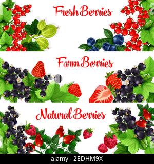 Berries banners. Vector set of fresh garden berries of sweet and juicy strawberry, cherry, raspberry and blackberry, forest blueberry, black currant o Stock Vector