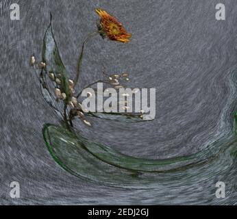 Abstract background with curving and swirling lines that separate areas of different colors. Abstract image of flowers. Graphic resources. Illustratio Stock Photo