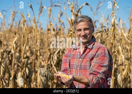 Farmer's Hands Holding Harvested Grain Corn. Happy Farmer with Corn Kernels in His Hands Looking at Camera . Stock Photo