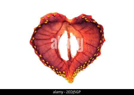 Dehydrated strawberry slice isolated on white Stock Photo