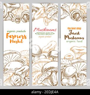 Mushrooms farmer market banners of sketch edible mushrooms champignon, chanterelle, russule and milk mushroom or honey agaric, gourmet morel and truff Stock Vector