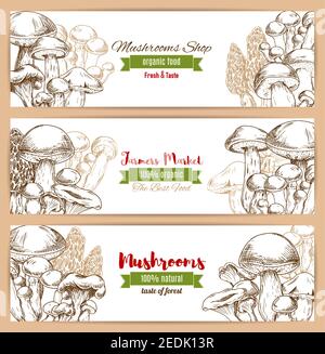 Mushrooms banners of sketched edible mushrooms forest woolly milkcap porcini and forest cep, champignon and chanterelle, russule and milk mushroom or Stock Vector
